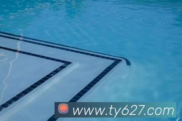 奖项证书